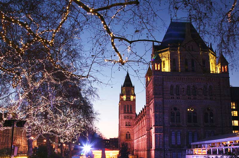natural history museum-architectural stone collection night