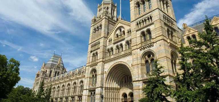 natural history museum architectural-stone collection thumb