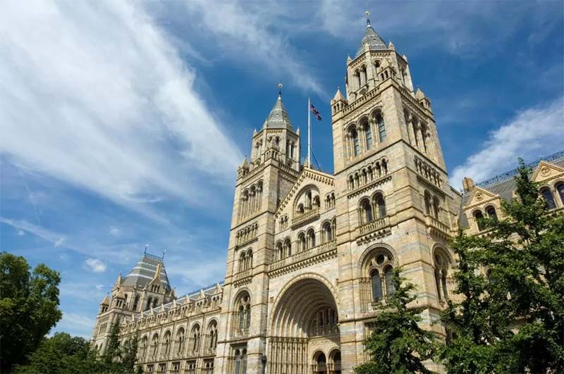 natural history museum-architectural stone collection