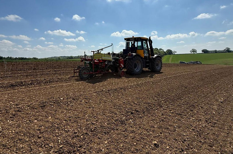JCB tractor preparing the Stamford Stone vineyard soil